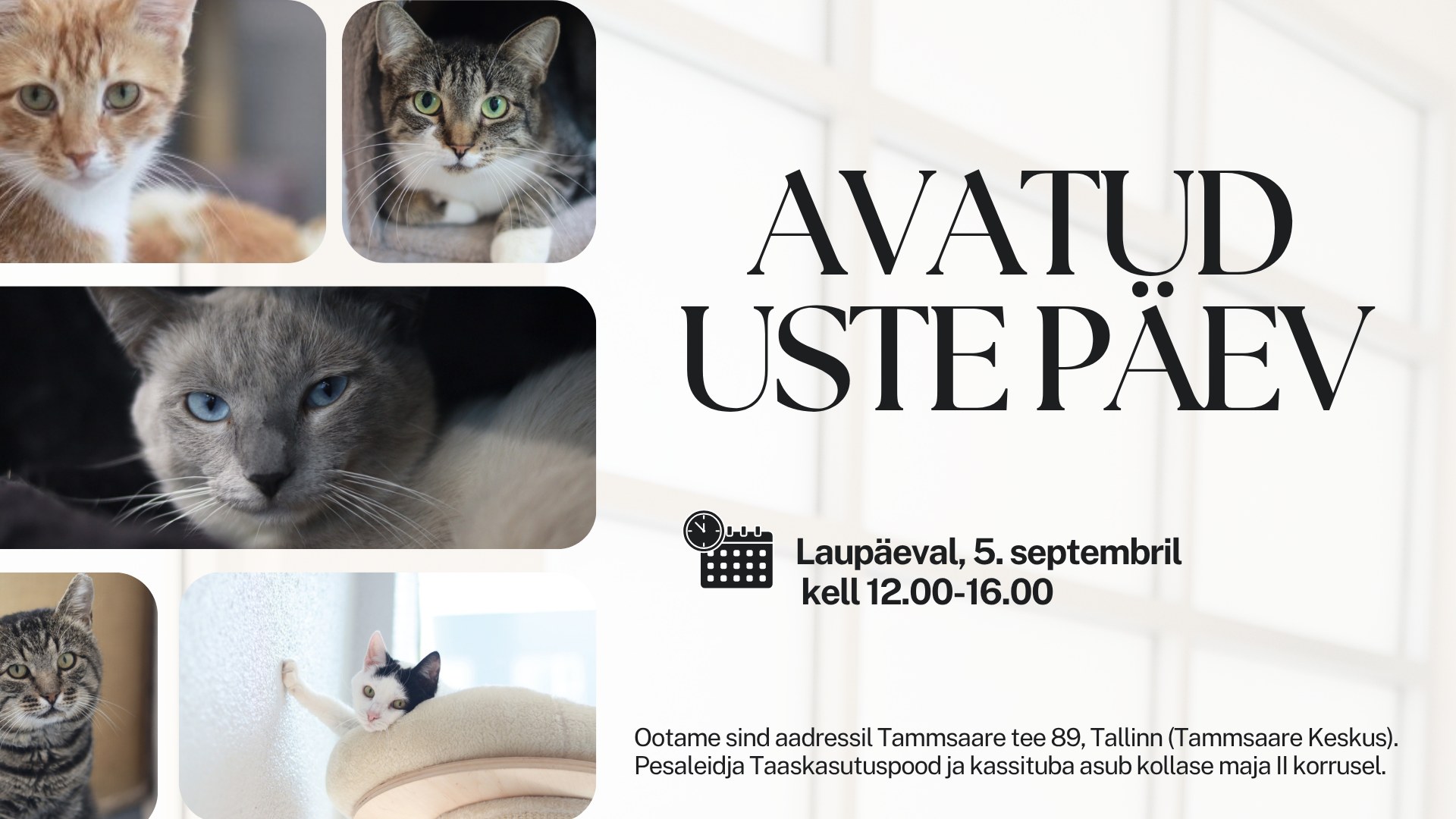 AVATUD USTE PÄEV