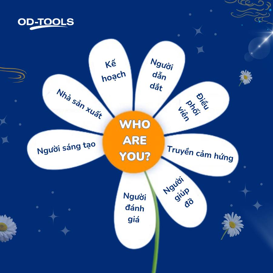 OD Tools - Innovative Assessment Solutions