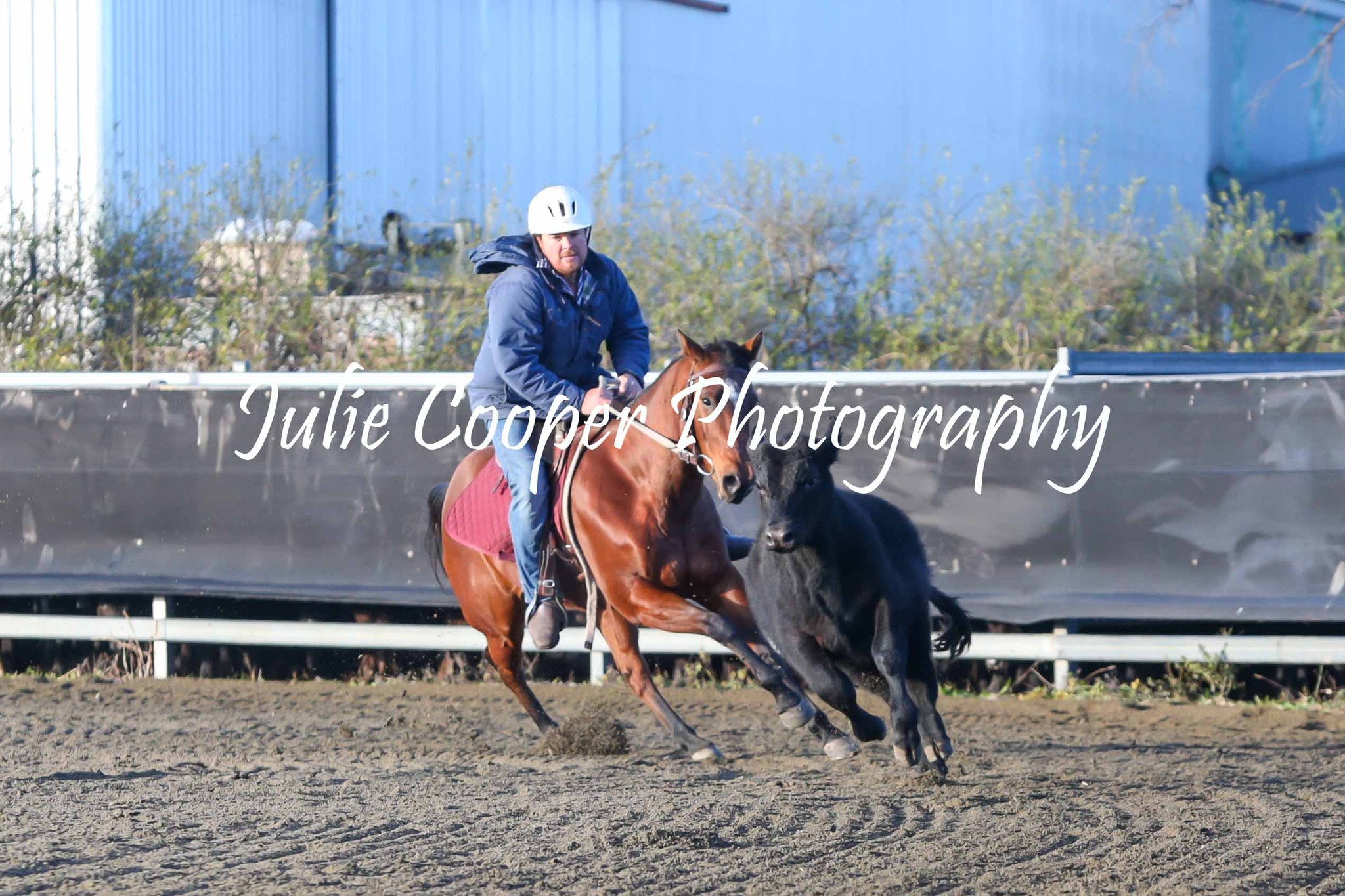 Julie Cooper Photography added... - Julie Cooper Photography