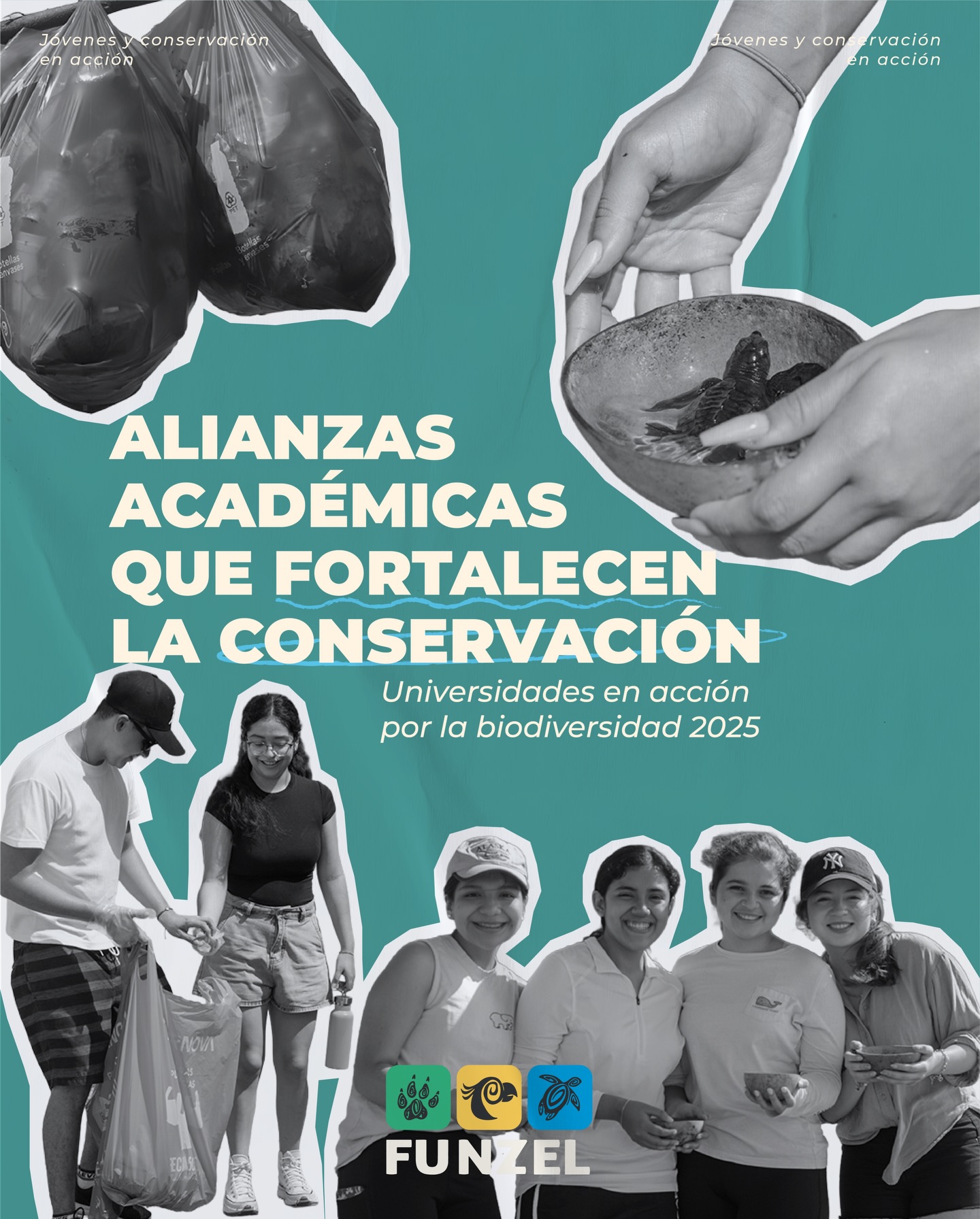 Funzel sv - El marcaje permite identificar a cada tortuga,... | Facebook