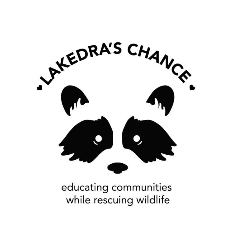 💪🏽 The USDA has kept raccoon rabies out of the central United States ...