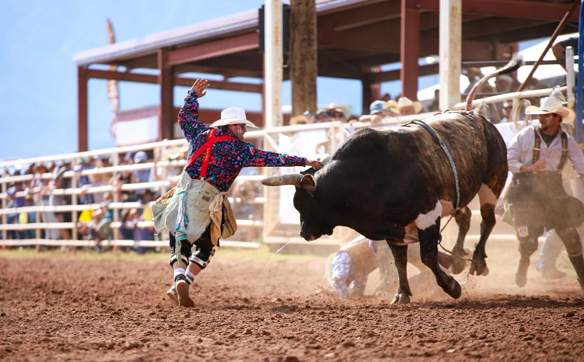 🐂 We’re Proud to Welcome... - First Frontier Circuit | Facebook
