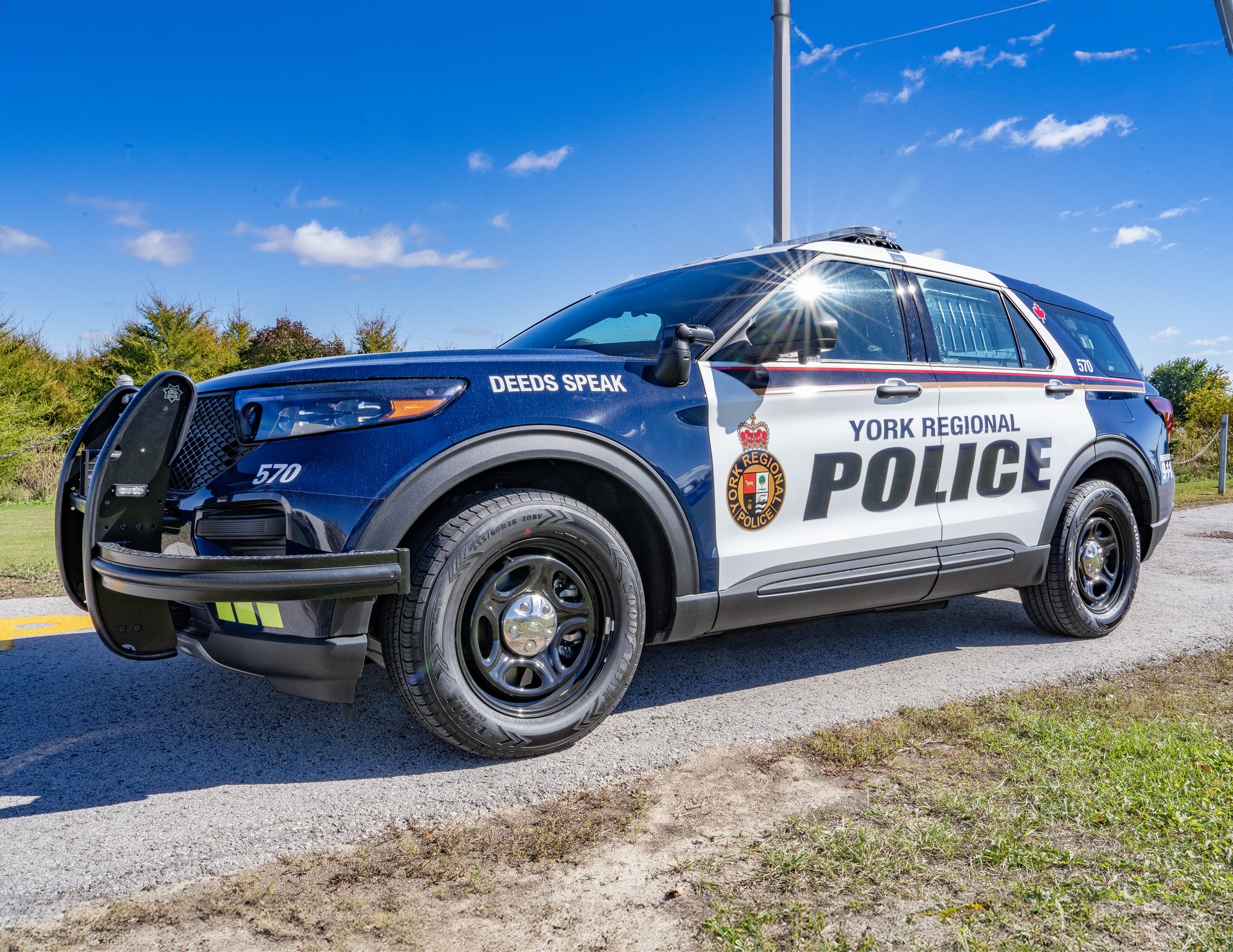 Do you need a Criminal Record Check? From the comfort of your home, you ...