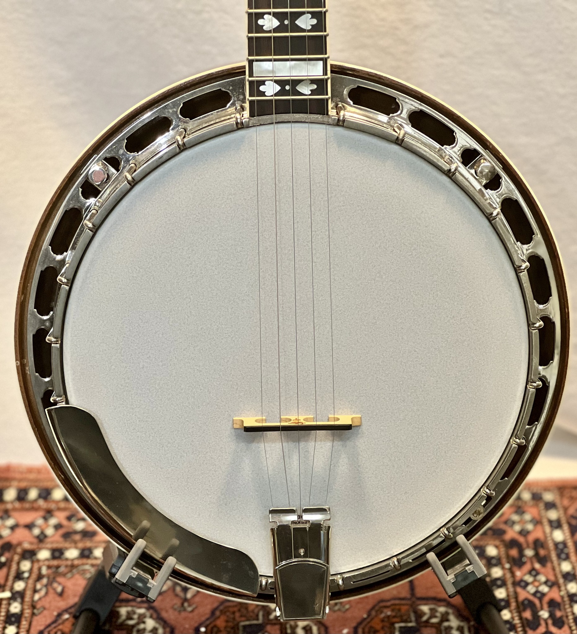 This Gold Star Banjos GF-85 parts banjo has everything you'd want