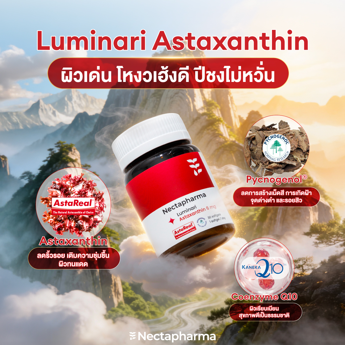 Nectapharma - Nectapharma added a new photo.