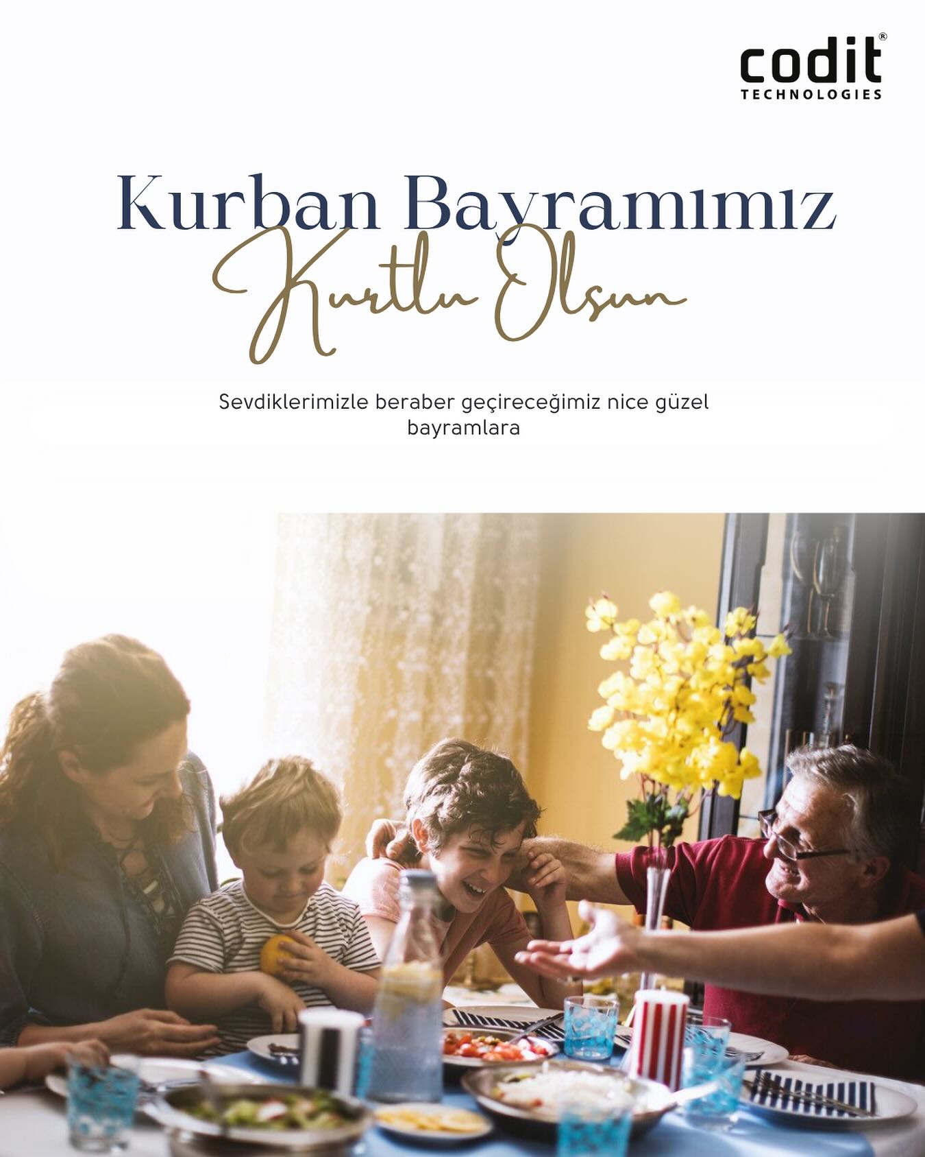 Codit Teknoloji | Kocaeli