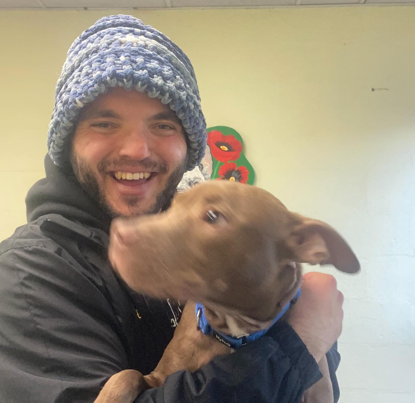 Randolph Regional... - Randolph Regional Animal Shelter
