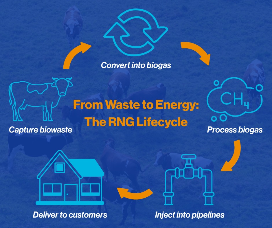 National - June was all about the renewable natural gas (RNG) facts ...