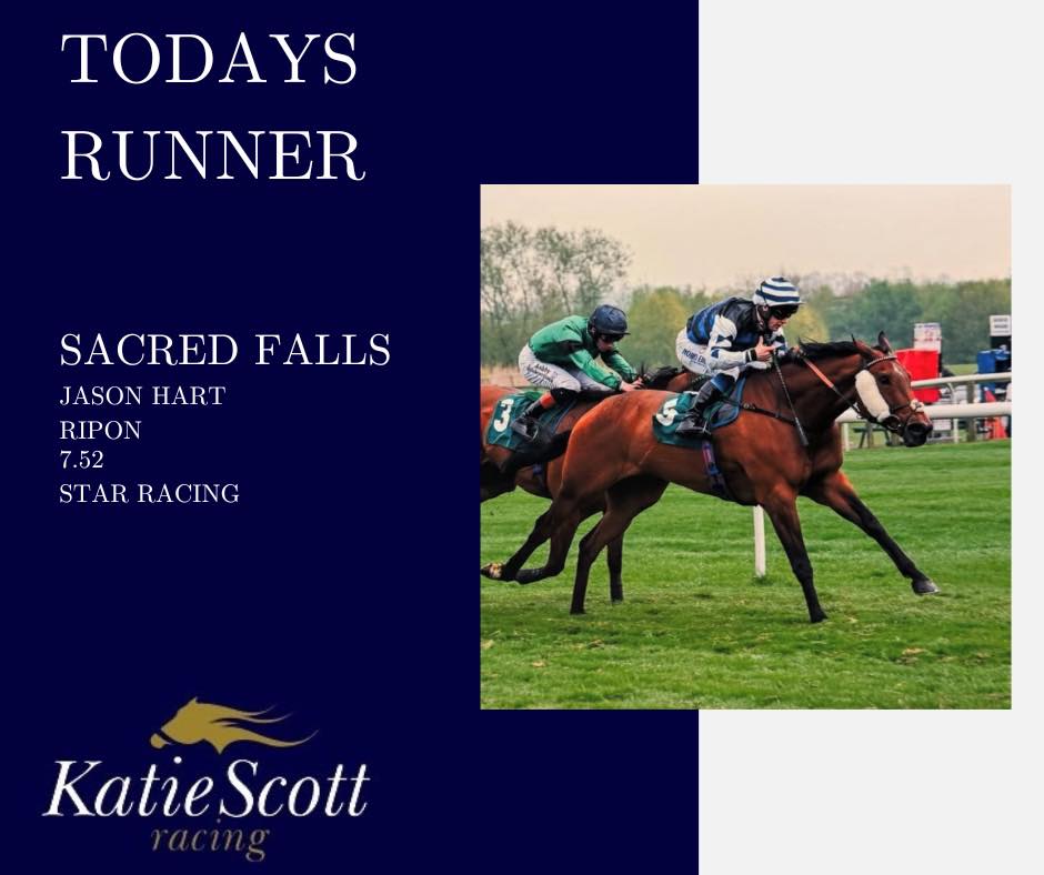Katie - Today Ripon Races Good Luck Maeve 🍀🍀🍀 Star Racing 🌟🌟🌟 | Facebook