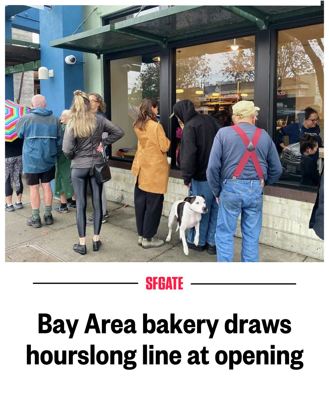 SFGATE - The bakery's buildings used to be a dentist's office. Full ...