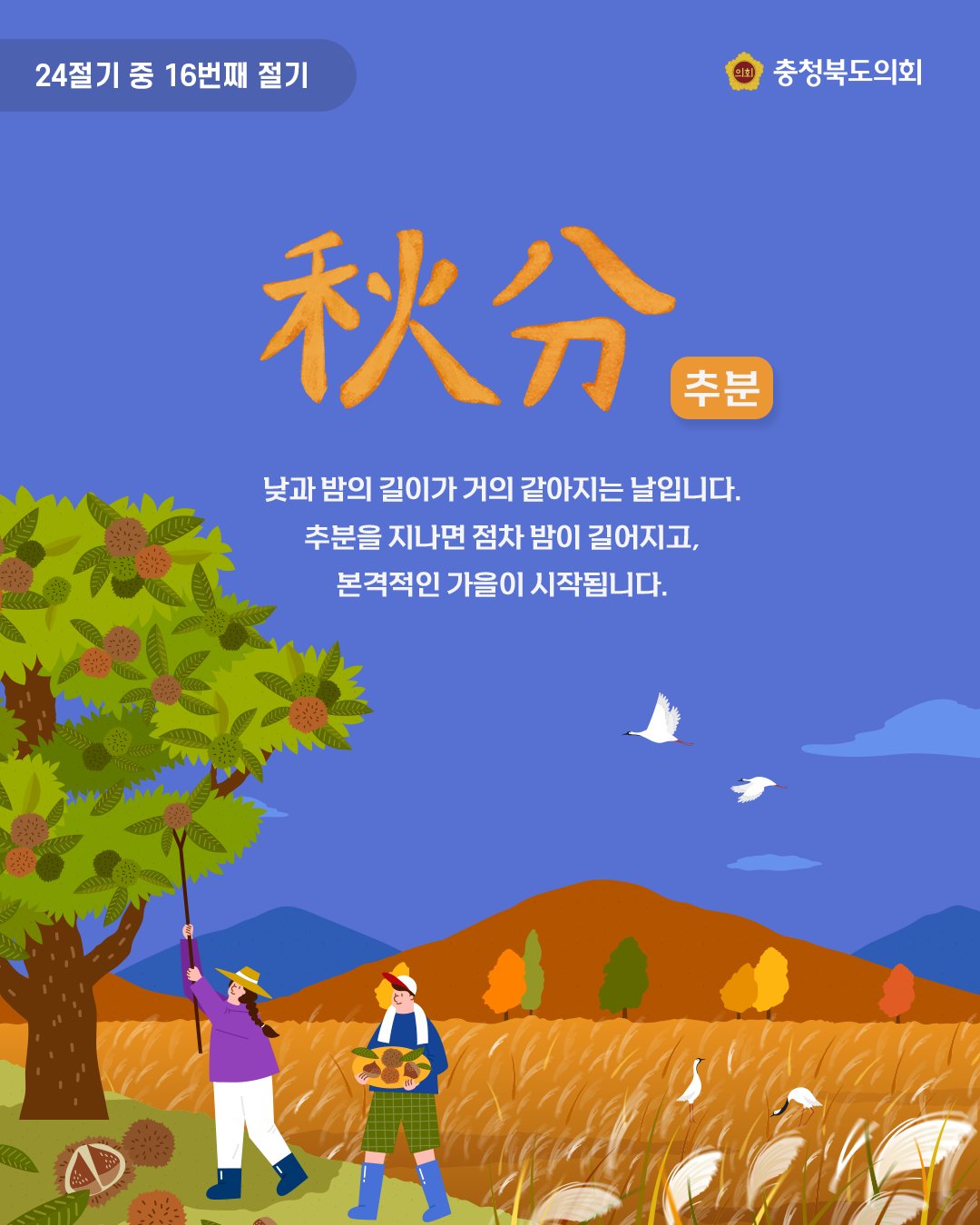 충청북도의회 - 24절기 중 16번째 절기, 추분 낮과 밤의 길이가 거의 같아지는 날입니다. 추분을 지나면 점차 밤이 길어지고 ...