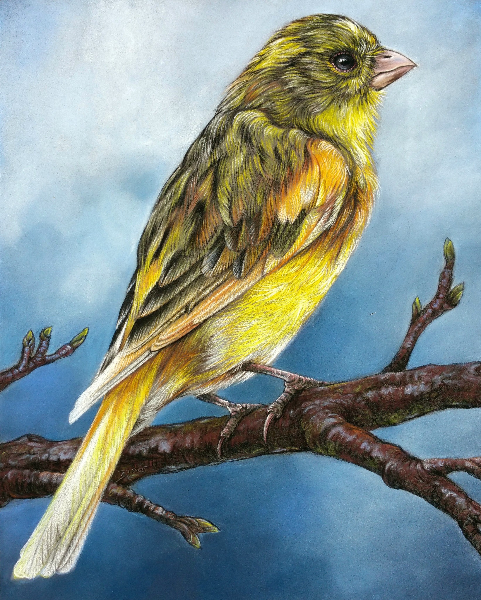 It's been a little bit but got some painting done a little yellow