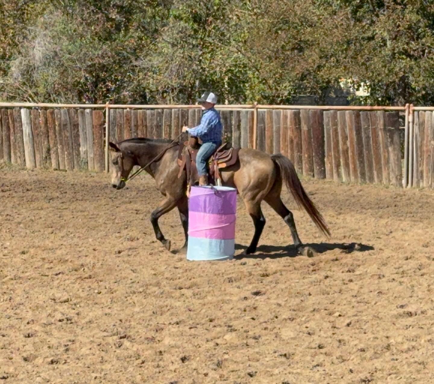 TnT Ranch & Tom Davis... - TnT Ranch & Tom Davis Horsemanship