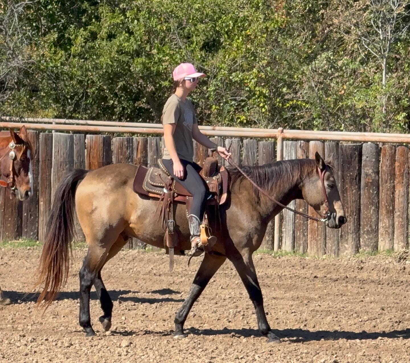 TnT Ranch & Tom Davis... - TnT Ranch & Tom Davis Horsemanship