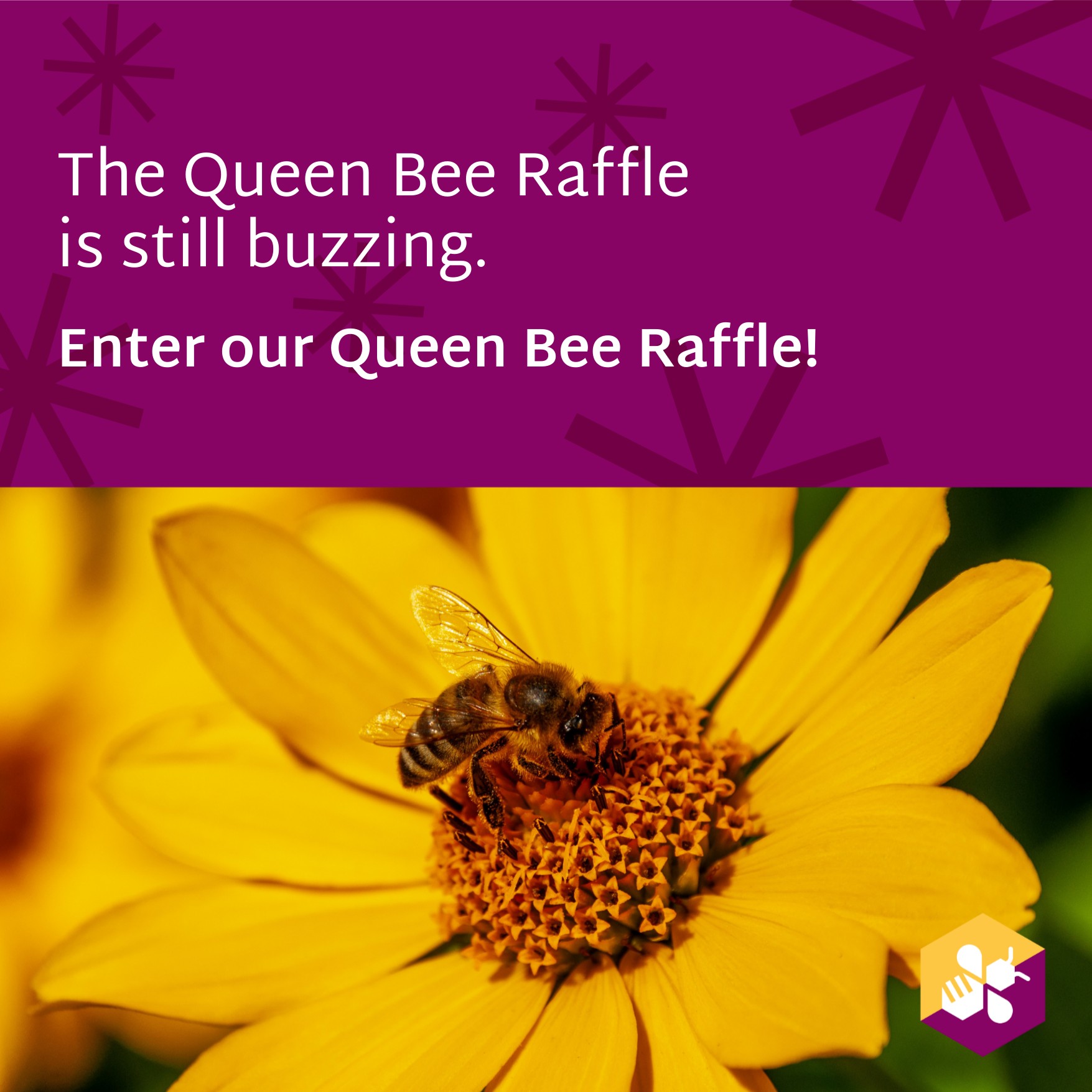 Project - The Queen Bee Raffle is still buzzing. Four winners will each ...