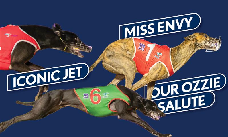 Racing - Iconic Jet, Miss Envy and Our Ozzie Salute have been revealed ...