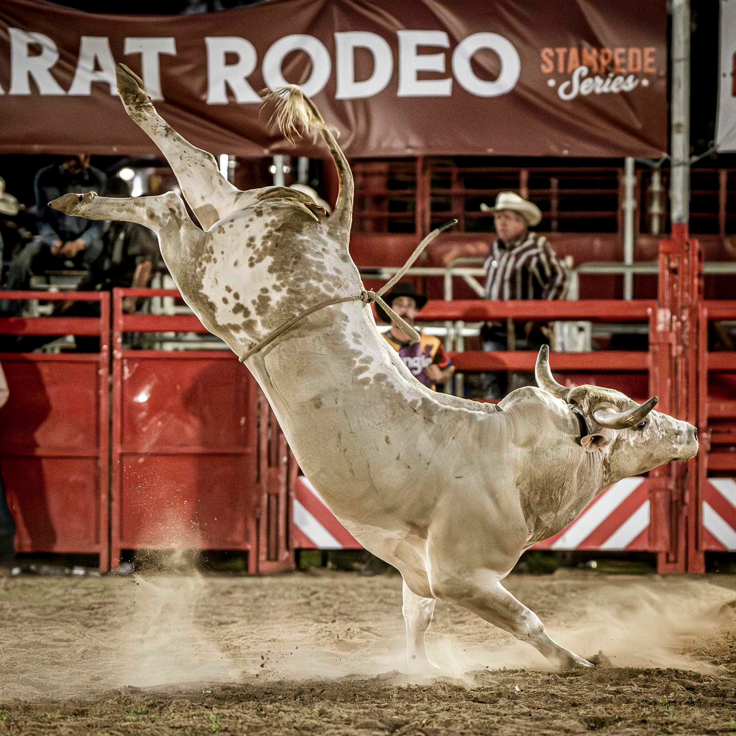John Gill and Sons Rodeo Contractors