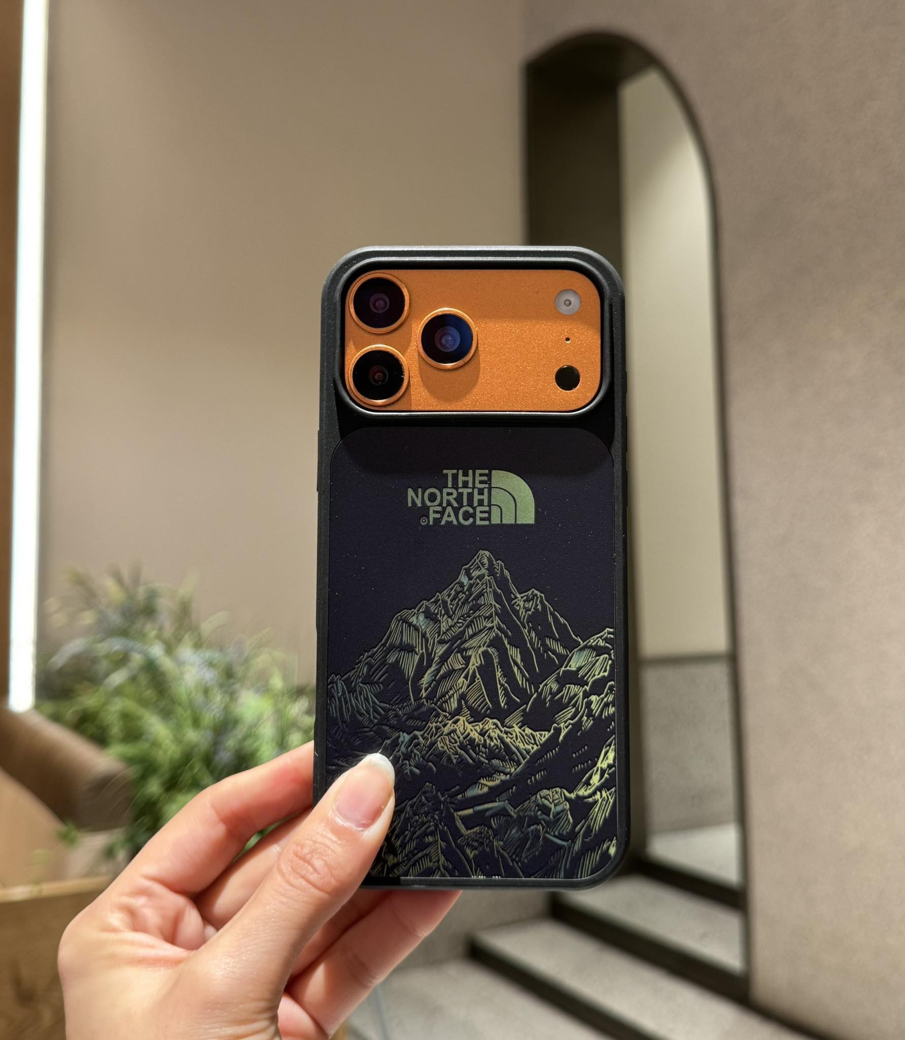 The nort face -Case Iphone:17promax,17pro, 17Air 16promax,16pro