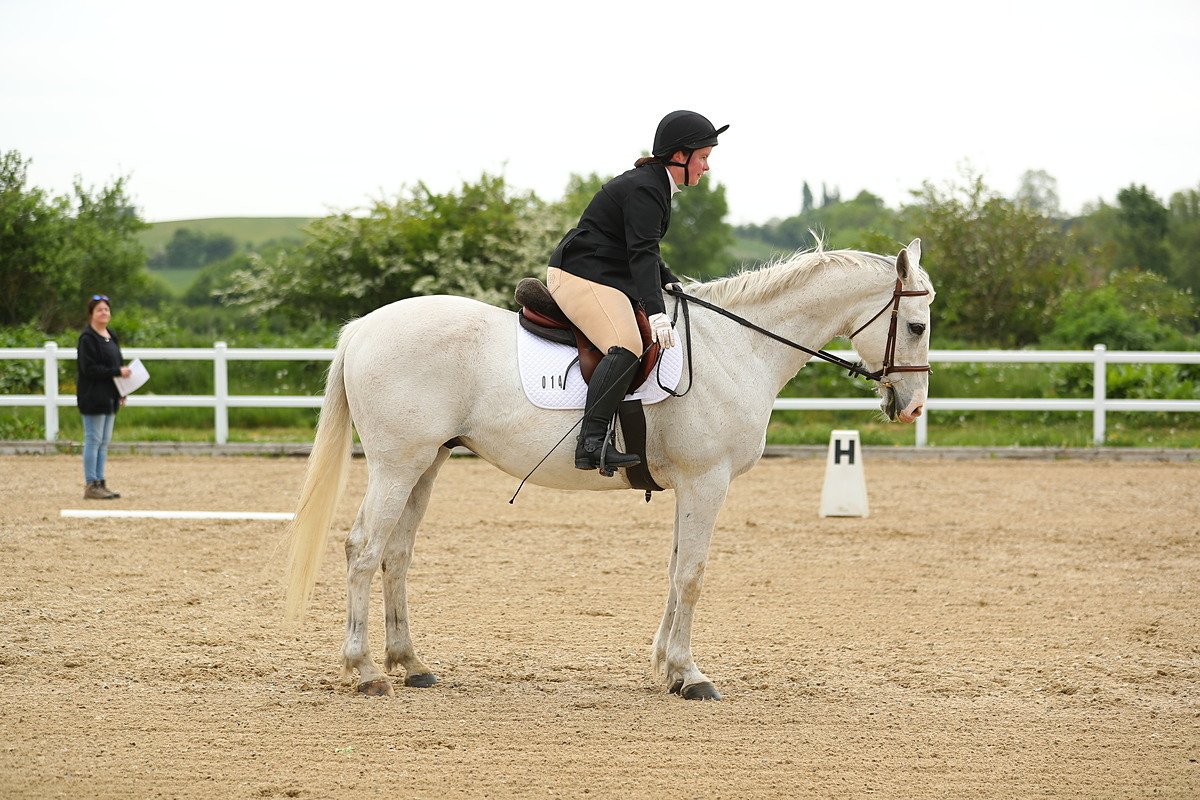 Rider - 🐴 What Our Horses Can Teach Us About Ourselves 💖 Our horses are ...