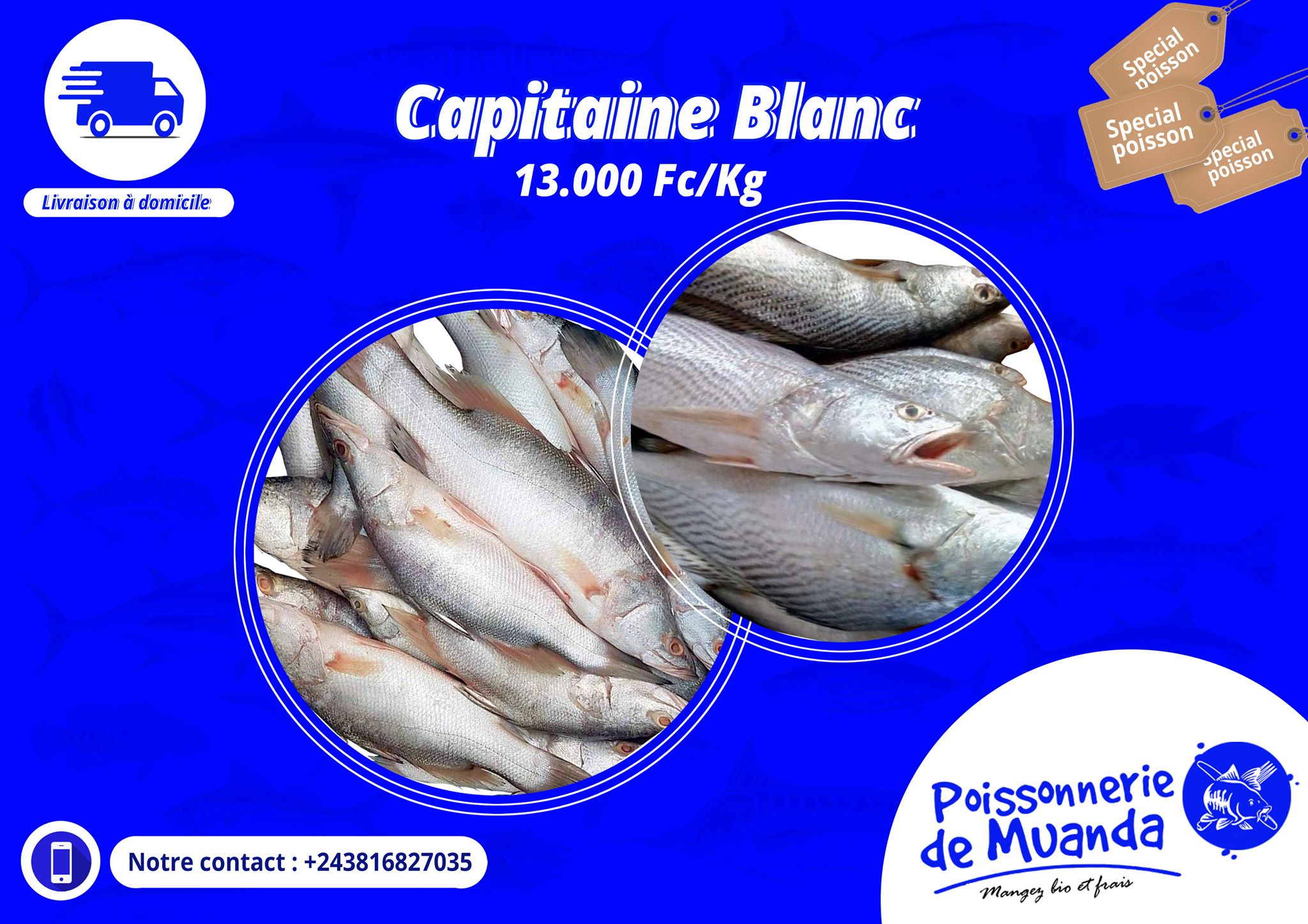 Poisson de Moanda | Kinshasa
