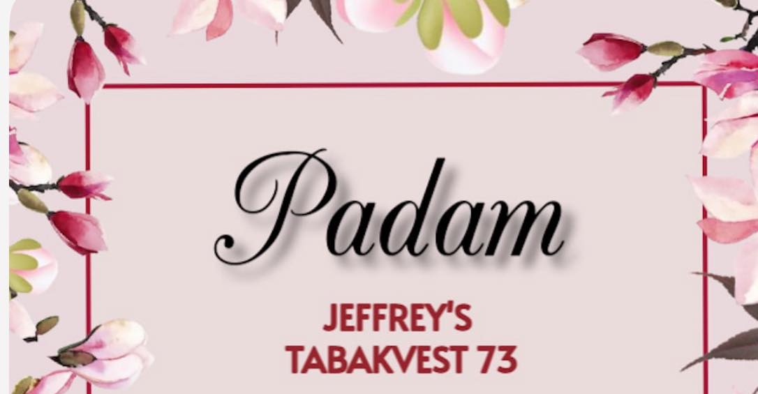 Padam Tea Dance | Antwerp