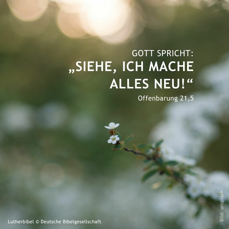 Evangelische - "Gott spricht: Siehe, ich mache alles neu!" Das ist die ...