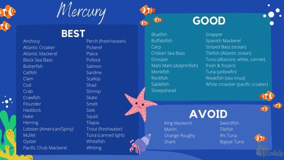 🦐🐟🦀 Let's talk... - Baby Led Weaning for Beginners and Beyond | Facebook