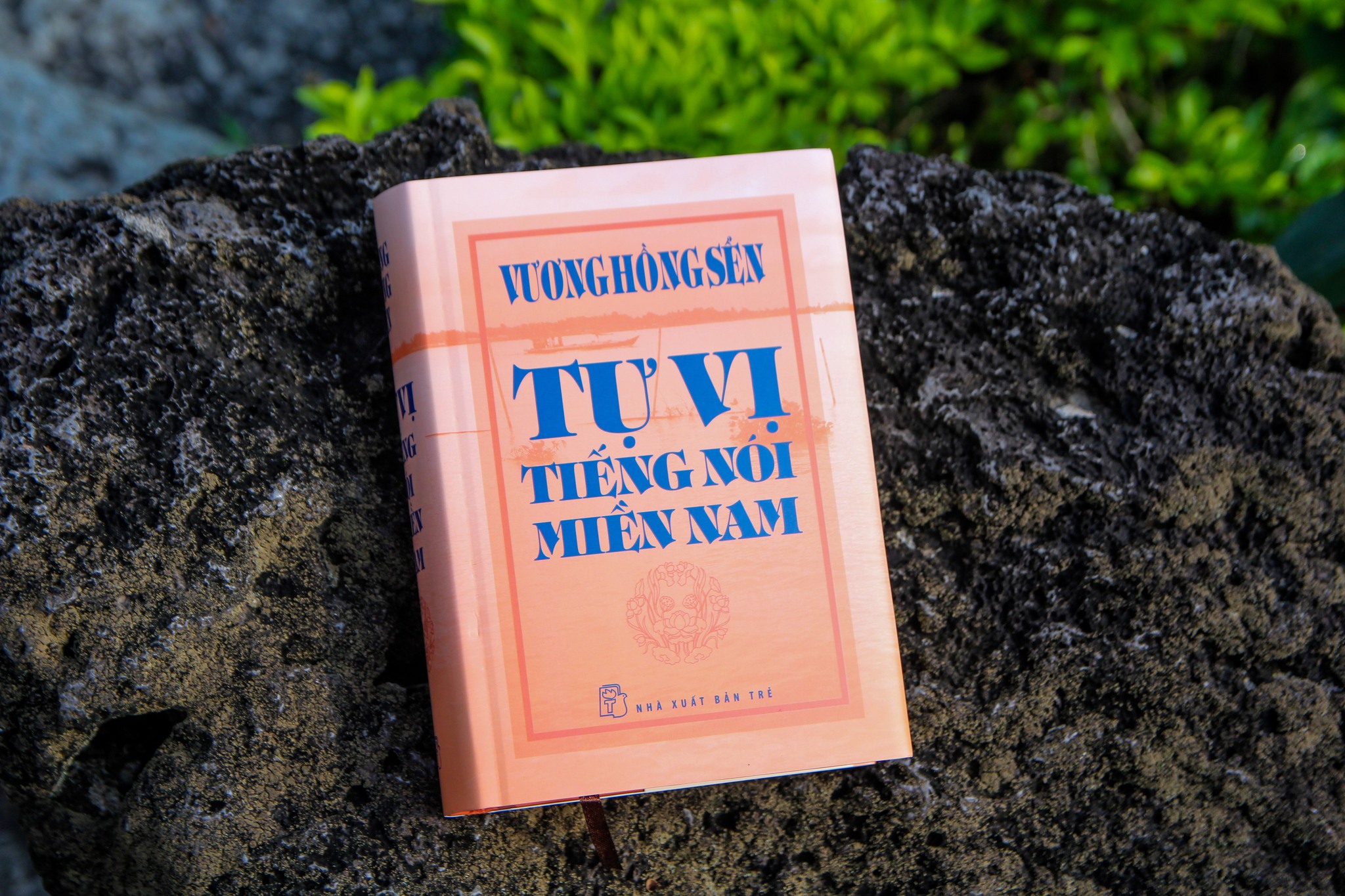 Chính thức phát hành] TỰ VỊ TIẾNG NÓI MIỀN NAM 🌾Từ điển tiếng nói
