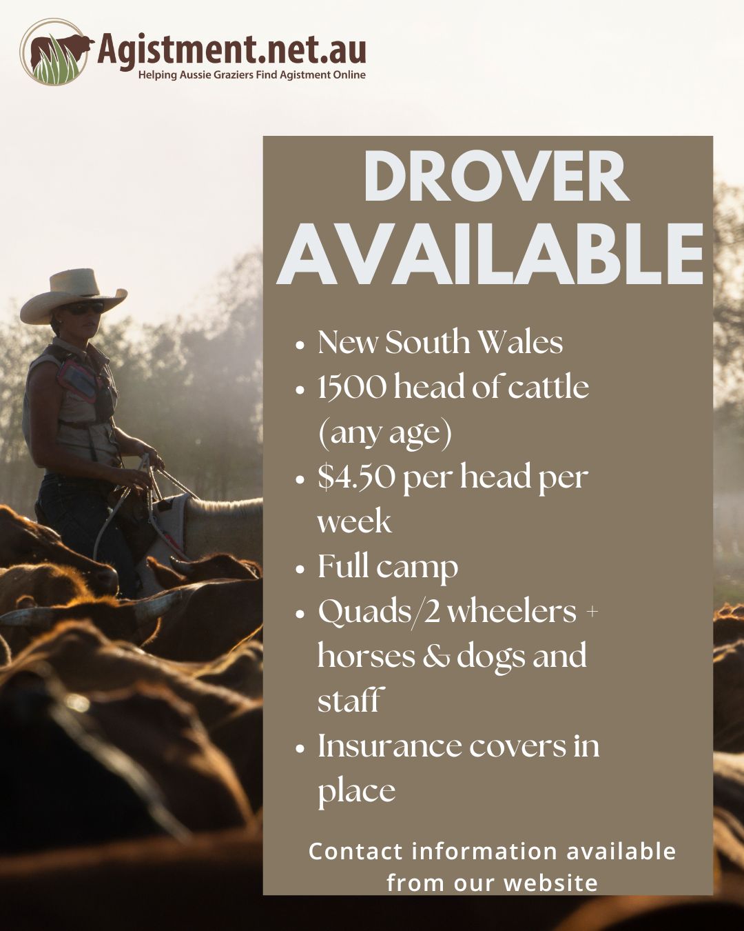 Horse And Cattle Agistment wanted and offered Australia | 𝐃𝐫𝐨𝐯𝐞𝐫 ...