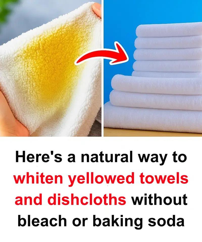 The meaning - Here's a natural way to whiten yellowed towels and ...