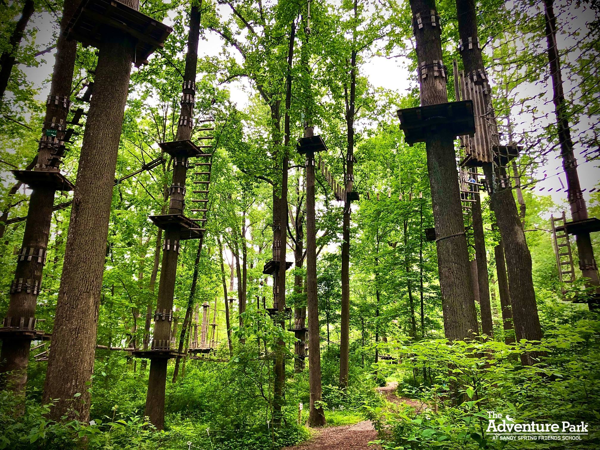 Summer Activity: Adventure Park... - BSA Troop 128, McLean VA
