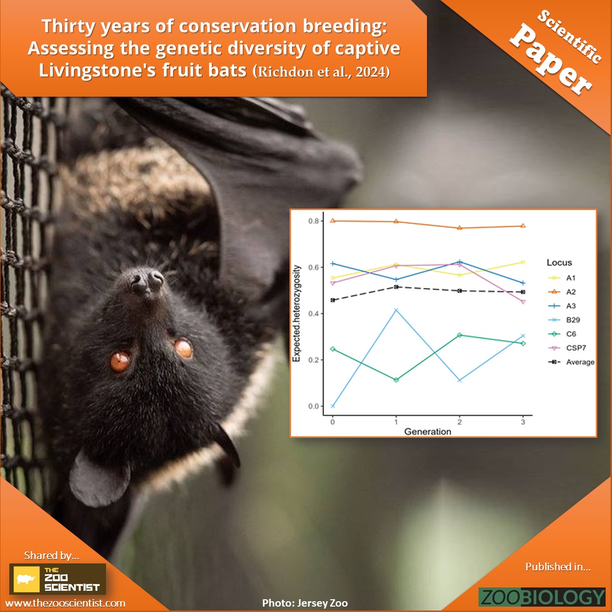 The Zoo - The genetic diversity of the ex situ population of ...