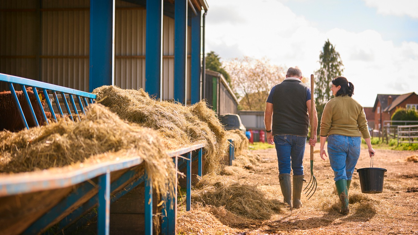 Goodyear - Even experienced farm employers can miss the mark when ...