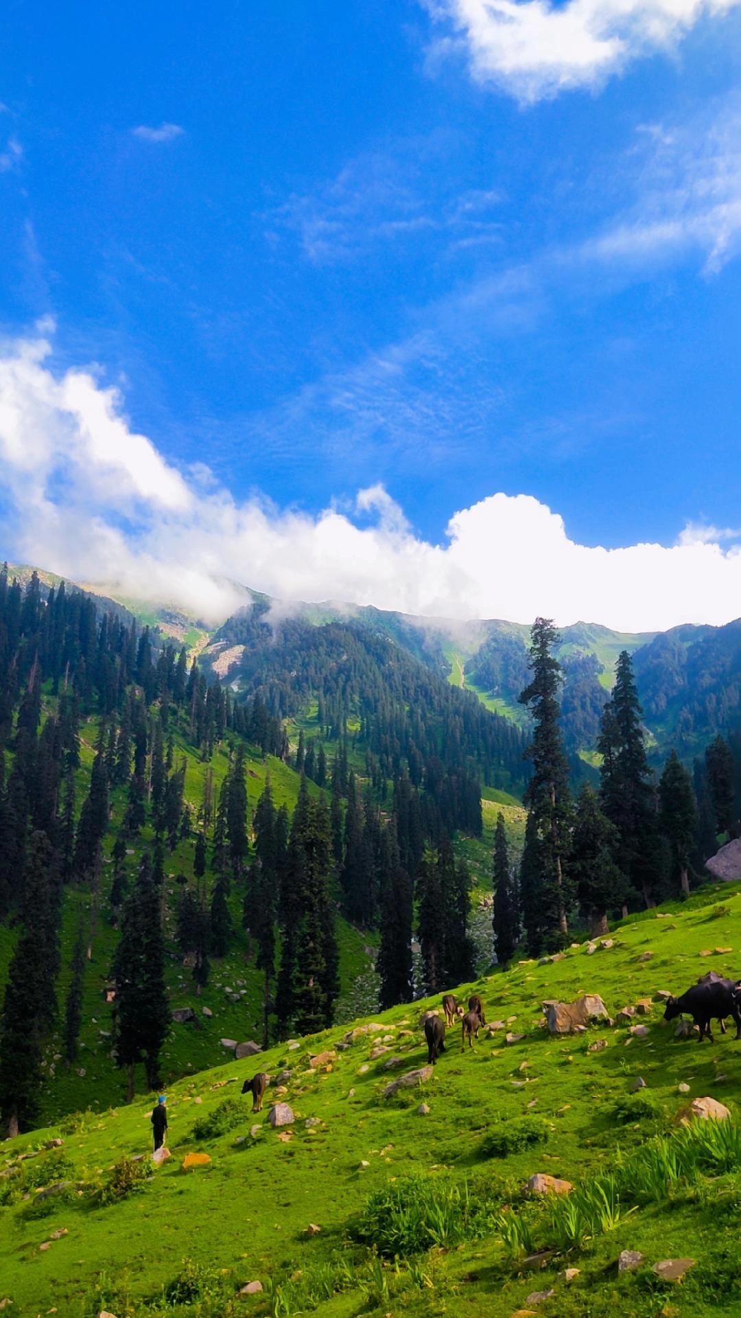 Discover Budhal Rajouri J&K