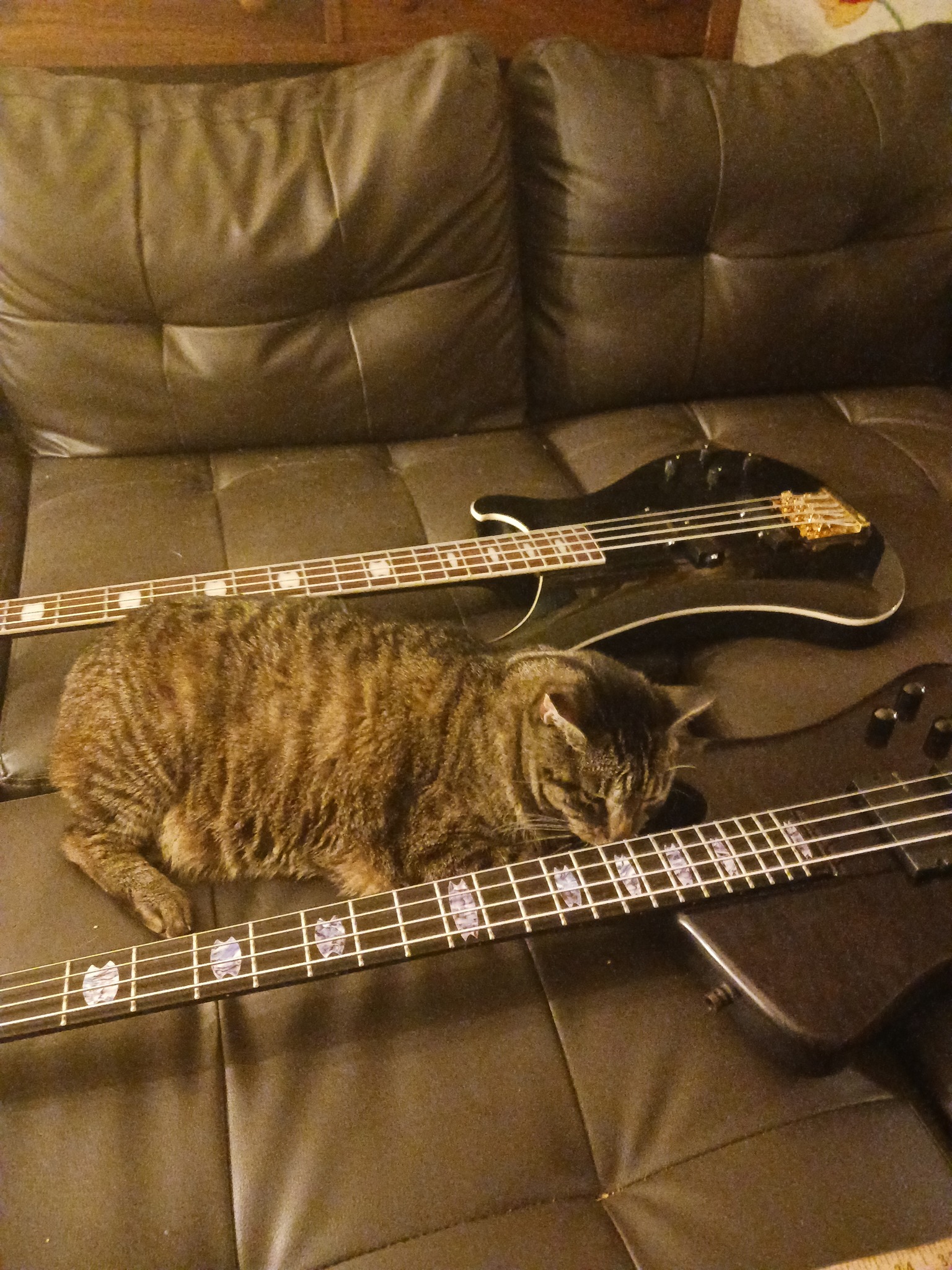 Spector Rex 4 bass guitar setup and modification