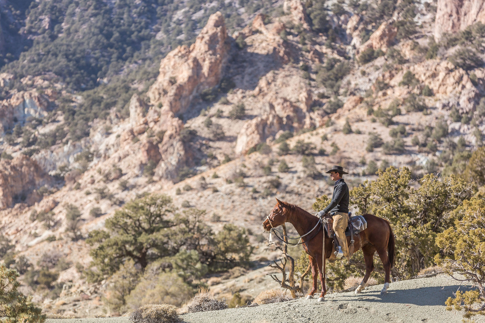 Road to the Horse - Look like Yellowhouse Canyon had a visitor today ...