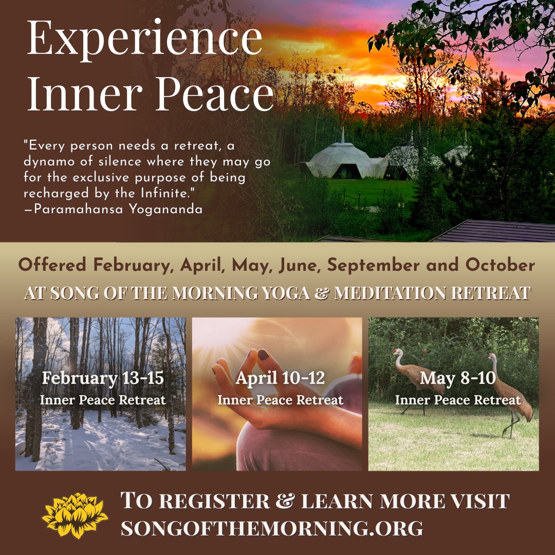 Image showcasing Song of the Morning Yoga & Meditation Retreat | Vanderbilt MI