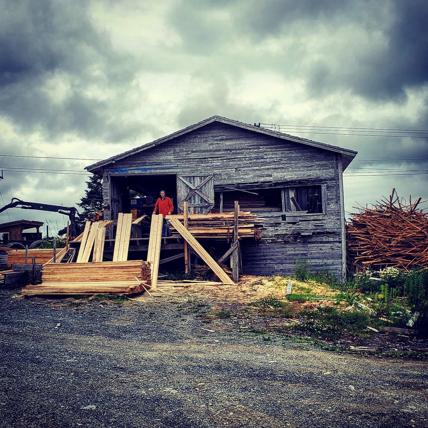 The wood for our campaign... - Vote Jess Puddister - At Large