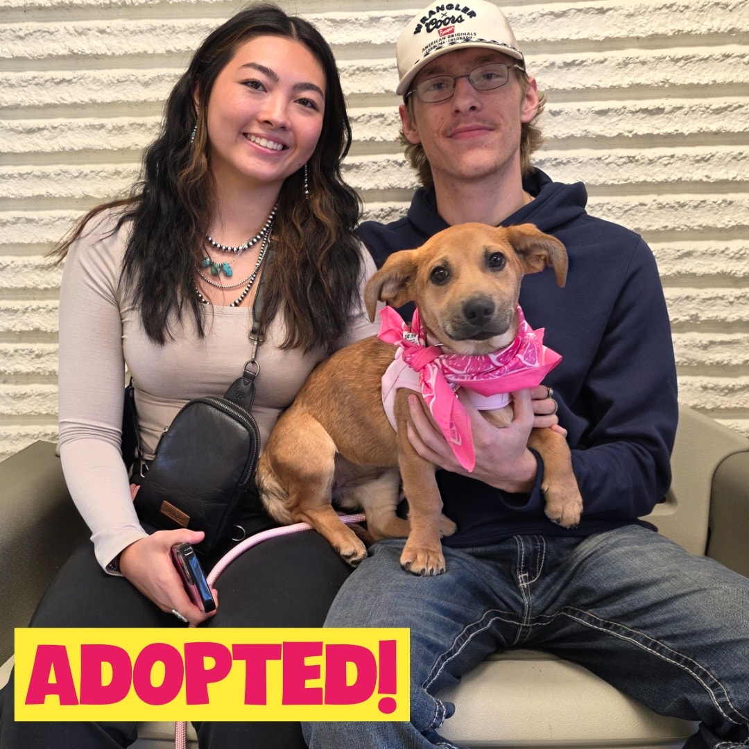 Central - ADOPTED! Beautiful Citrina has found her family! Good-bye ...
