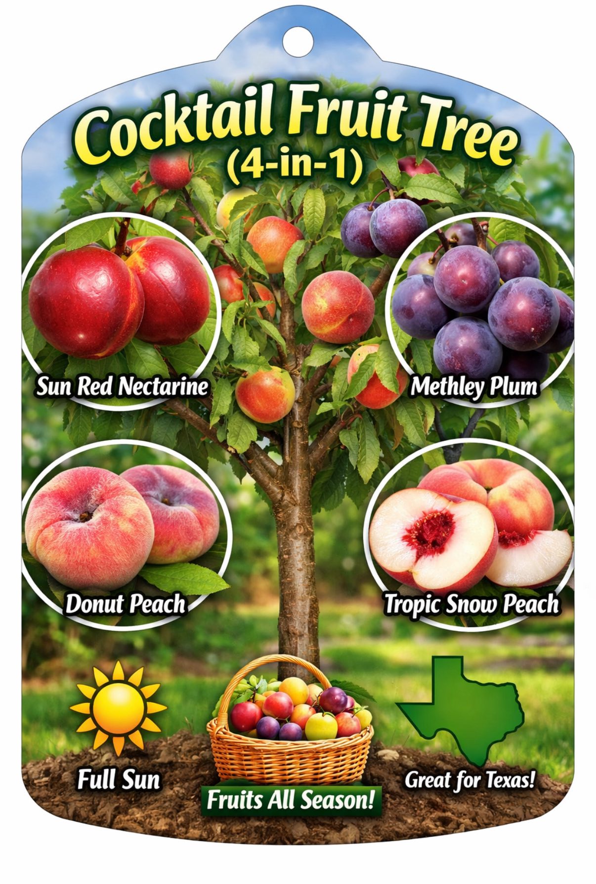 Fruit trees and landscaping services available | Alvin, TX