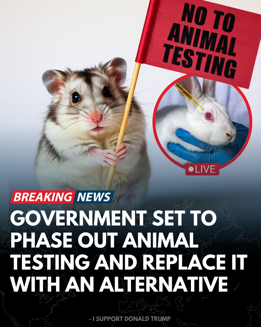 I Support - Animal testing soon to be phased out in the U.S. | Facebook