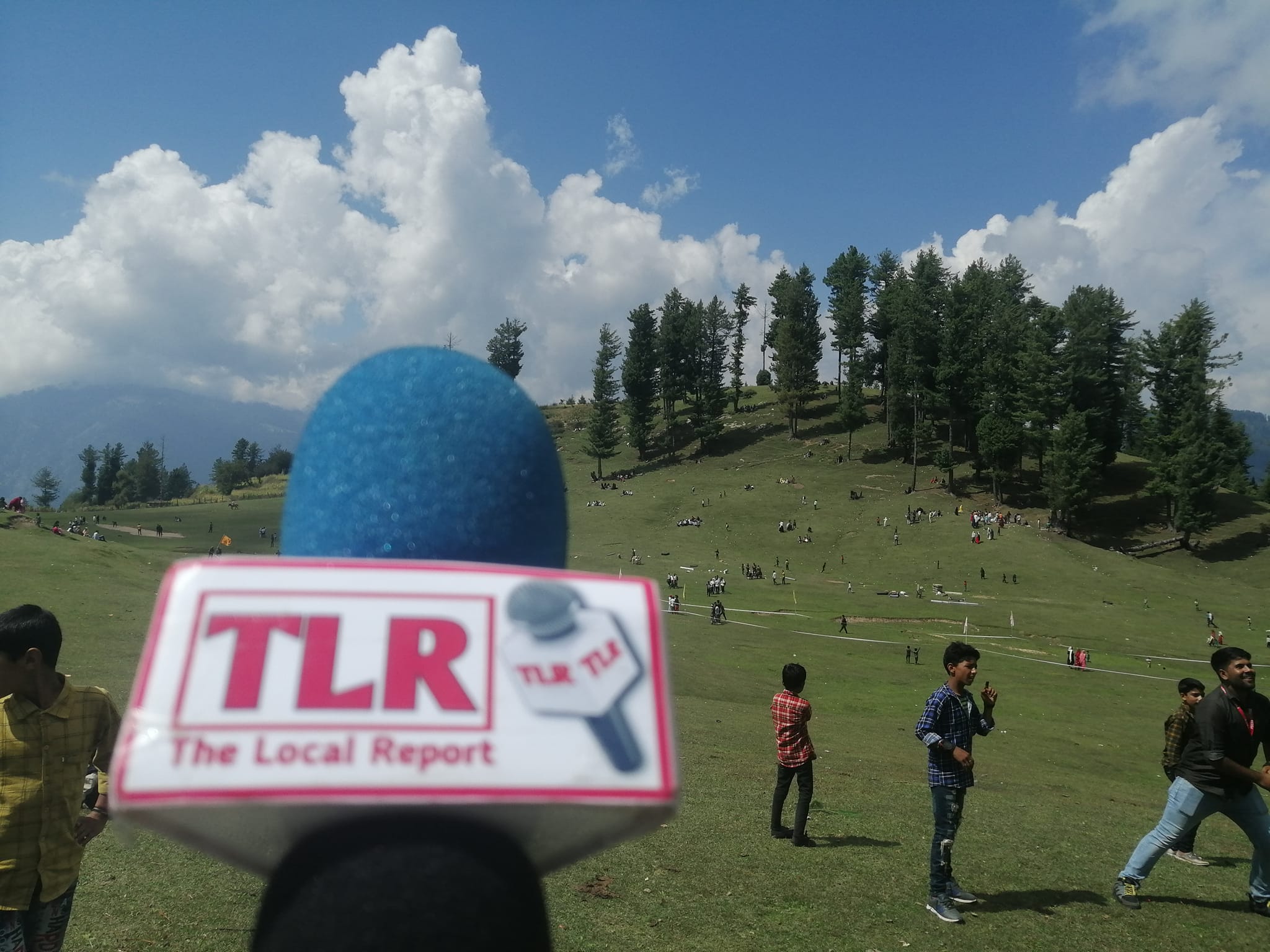 The Local Report | Doda