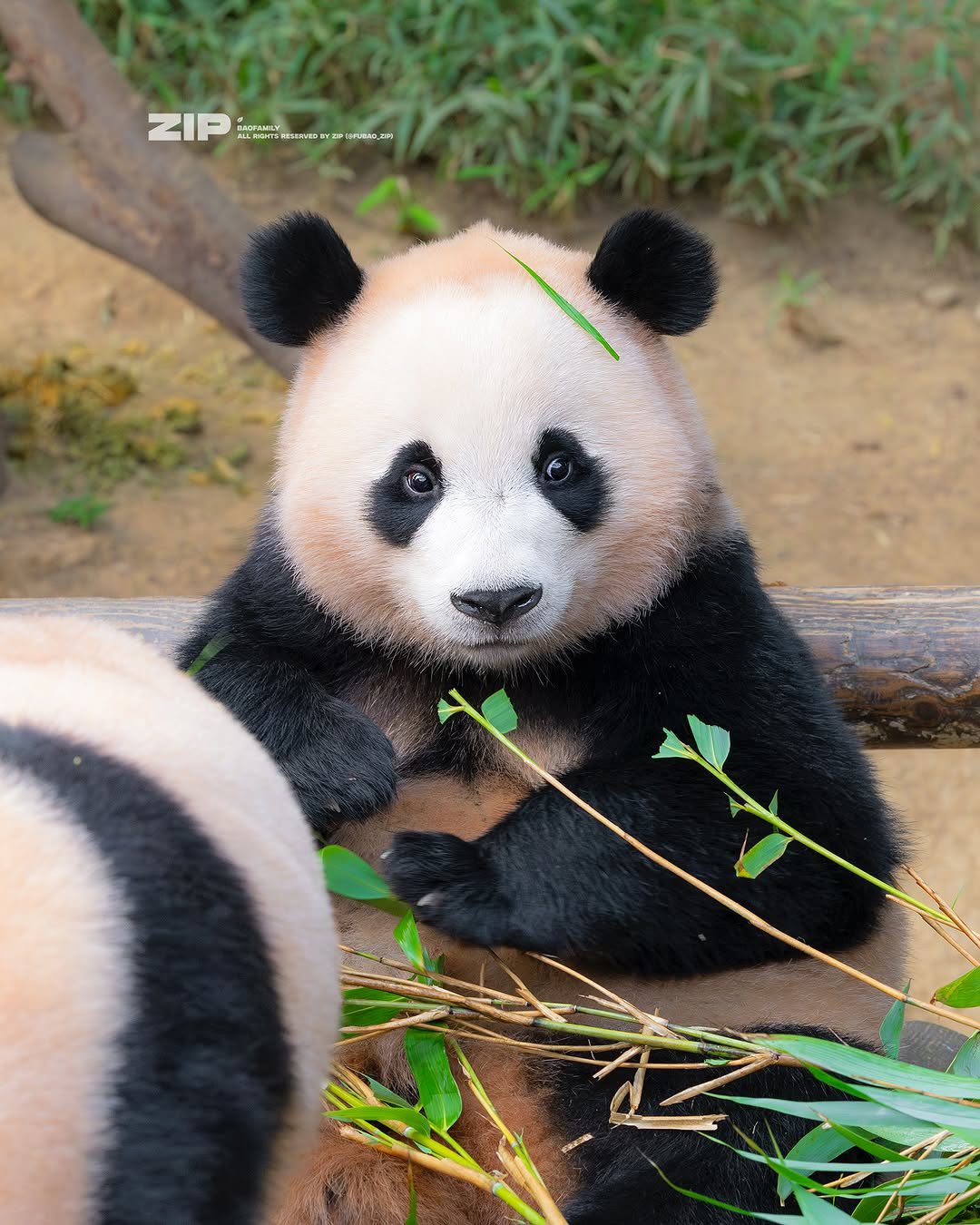 Rui Hui đáng yêu added a new photo. - Rui Hui đáng yêu