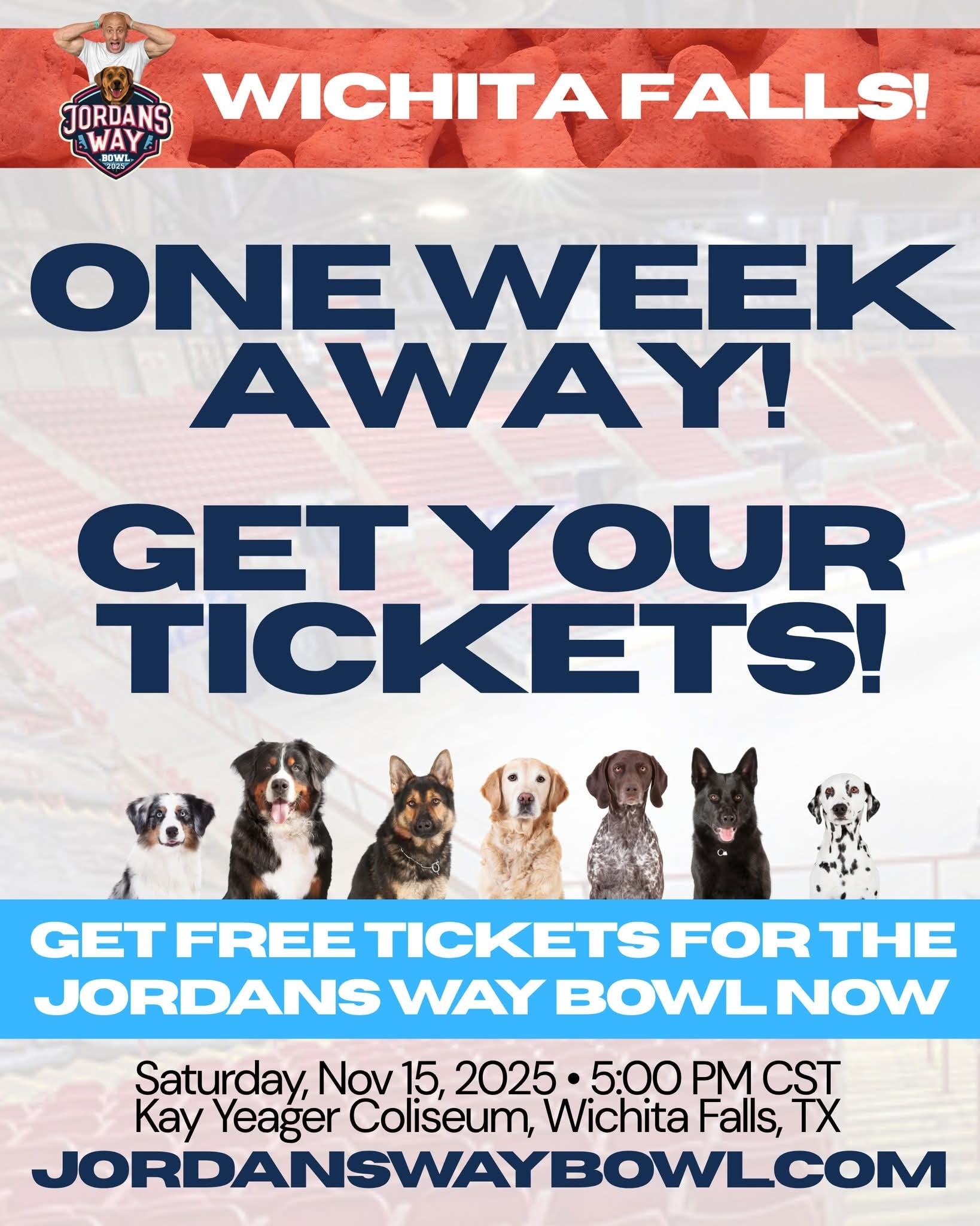 🎉 In exactly ONE WEEK... - It Takes a Village No-Kill Rescue | Facebook