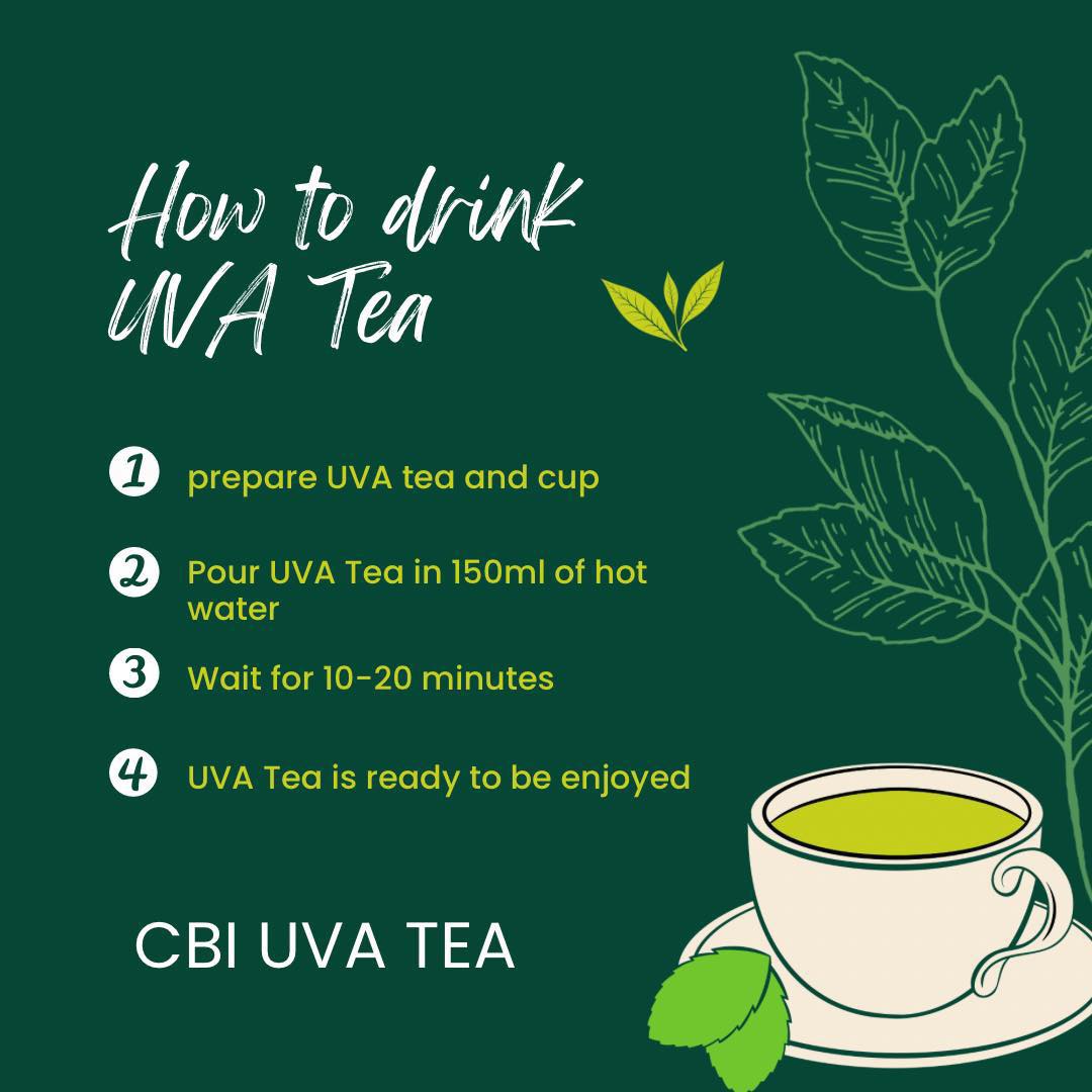 Euroherbal Original UVA Tea PH - Herbal Medicine that can CURE in 7 ...