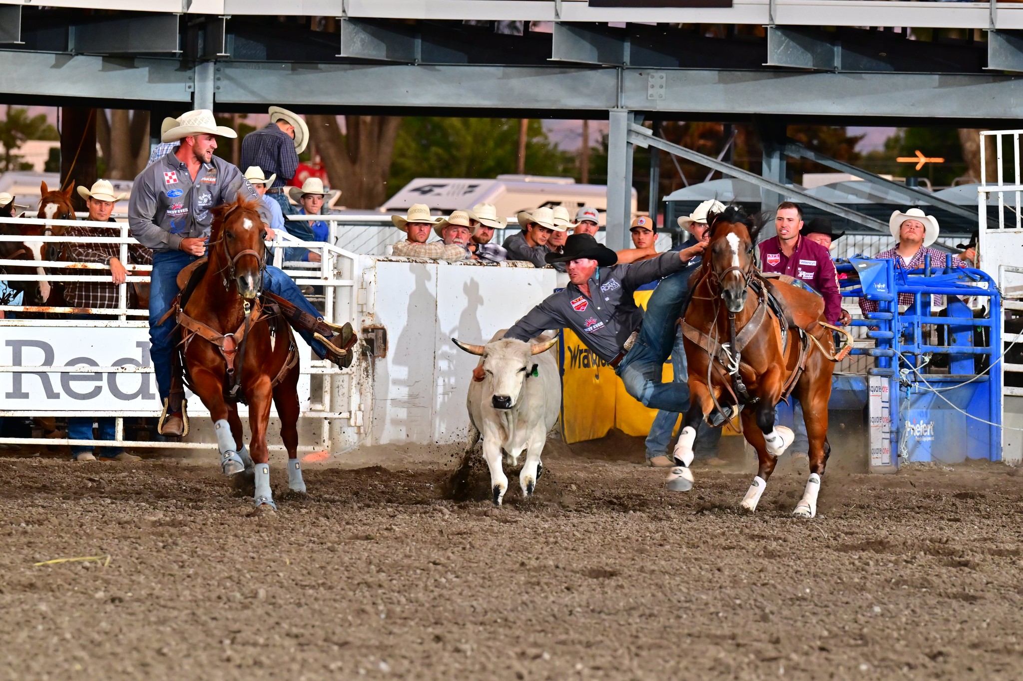 Cassia County Fair & Rodeo | Burley ID