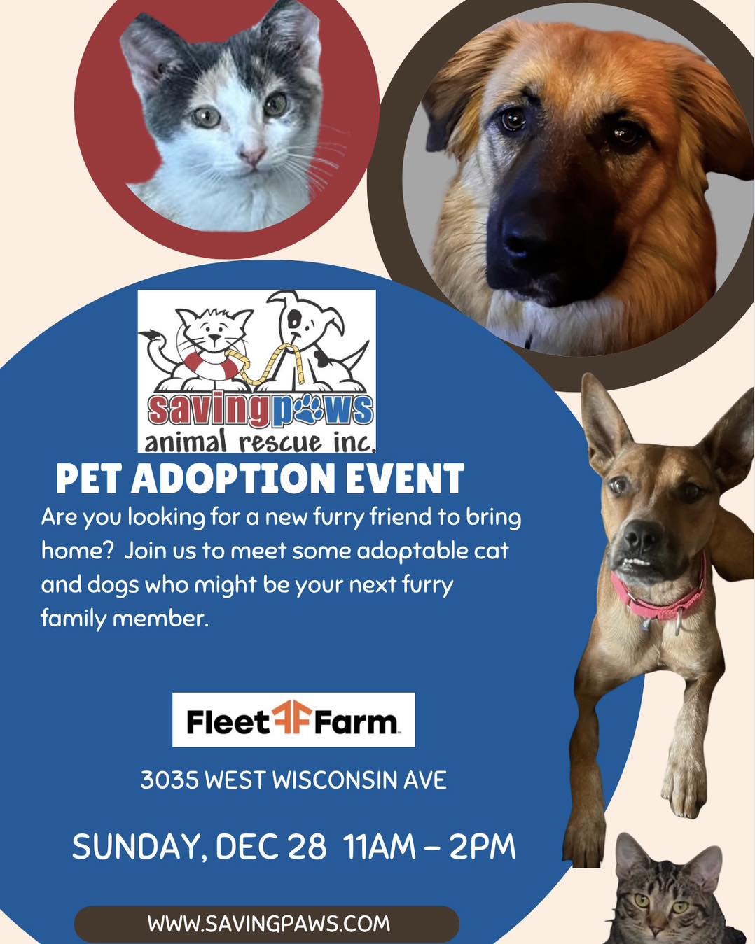 Saving Paws Animal Rescue - Alfalfa and Garbonzo | Facebook
