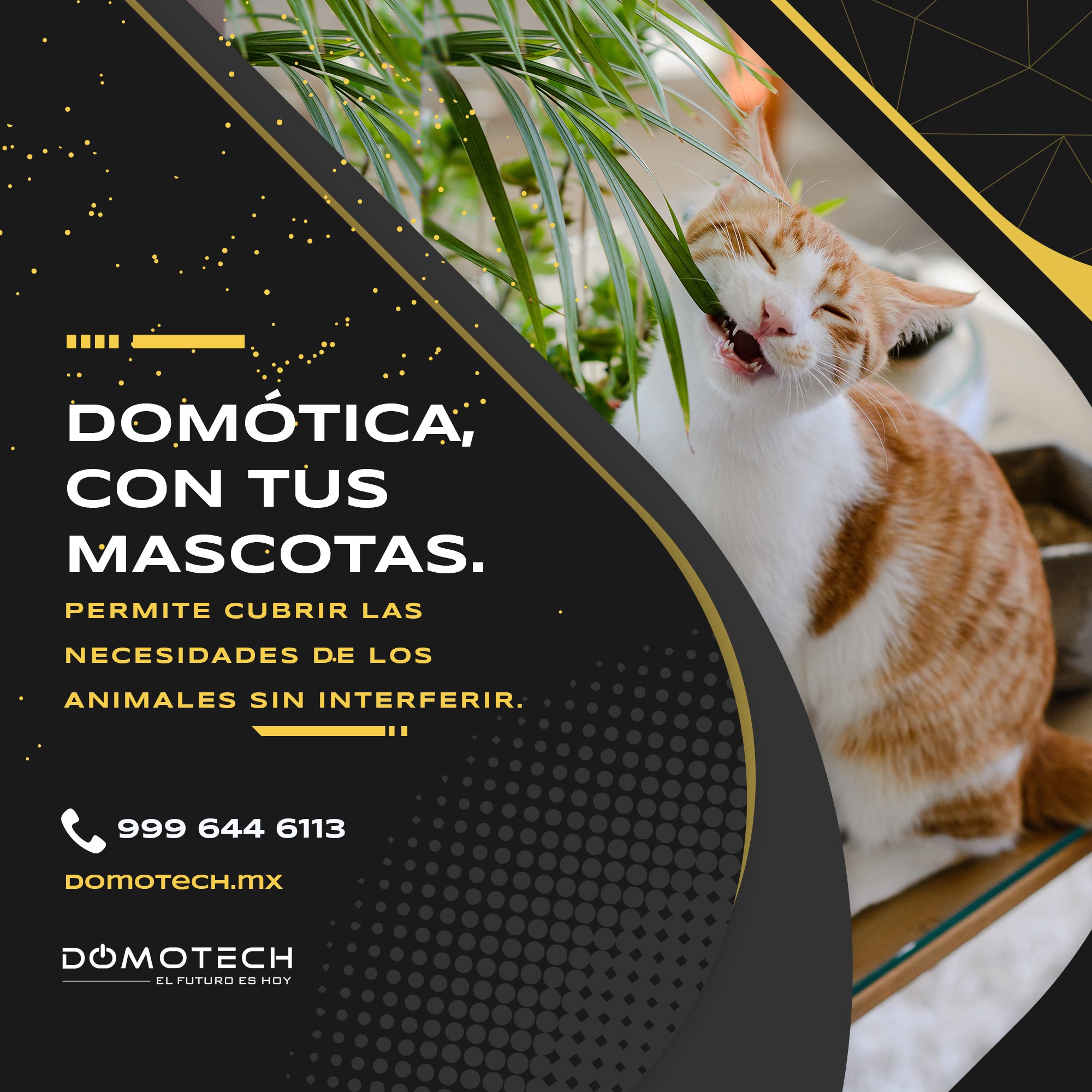 Domotech - La domótica puede cuidar a los animales en... | Facebook