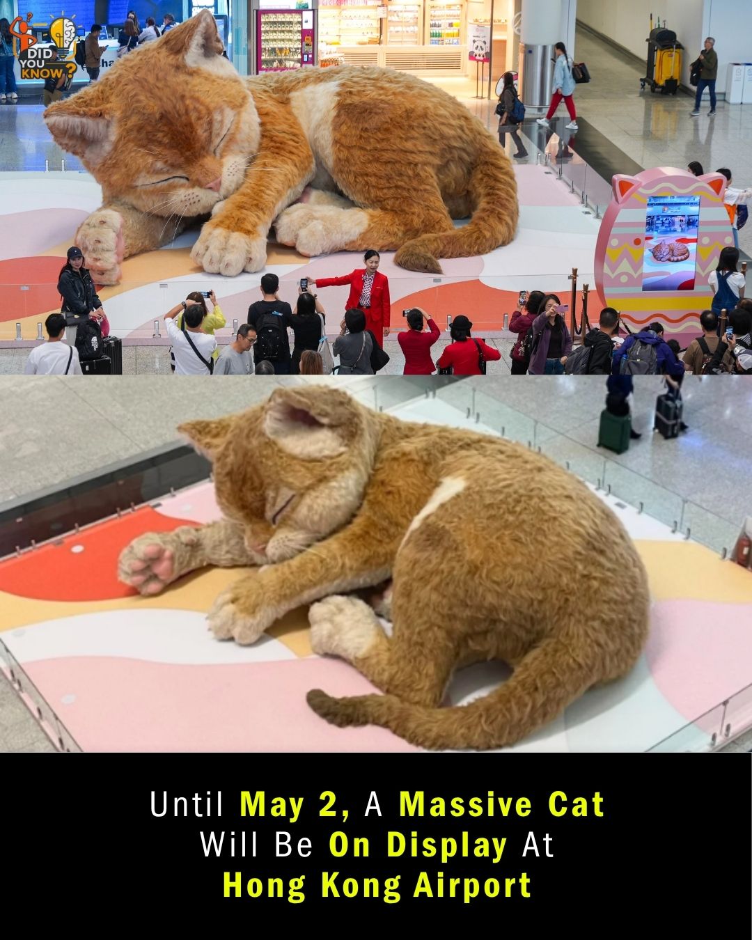 hong kong airport