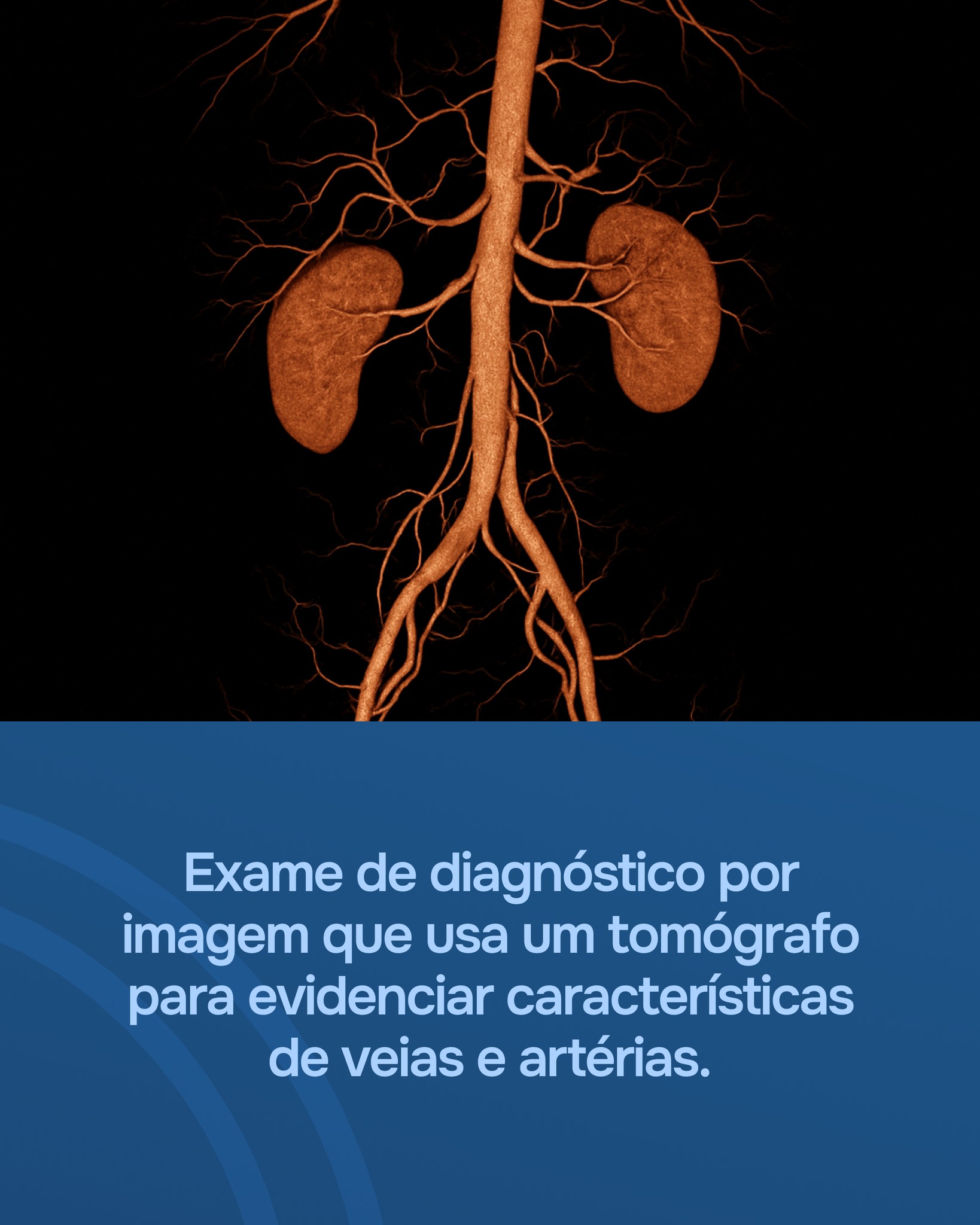 Biocárdios - Biocárdios added a new photo — at Biocárdios.